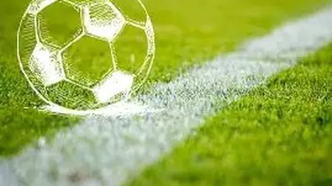 李佳琦与杜华联手注册新公司，注册资本达500万元