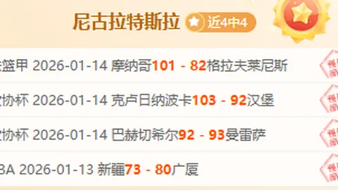 纽卡斯尔力追莱斯特城外租球员哈努斯，水晶宫紧贴其后竞逐传闻！